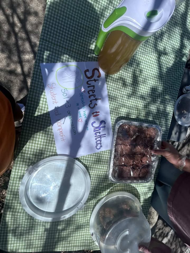 Streets to Shelters — photo 8